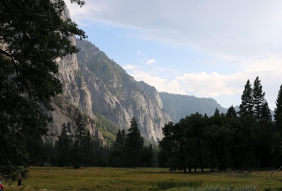 Yosemite National Park - 3 Photograph by Christy Pooschke