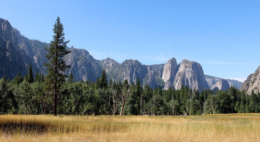 Yosemite National Park - 4 Photograph by Christy Pooschke