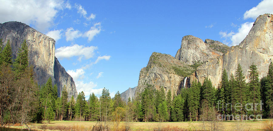 Yosemite National Park 6864 Photograph by Jack Schultz
