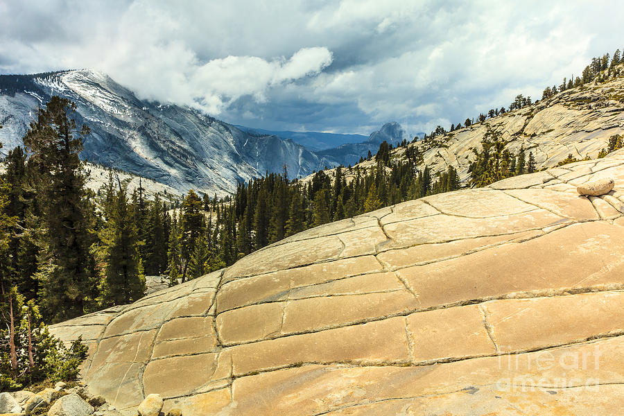 Yosemite National Park Photograph by Ben Graham