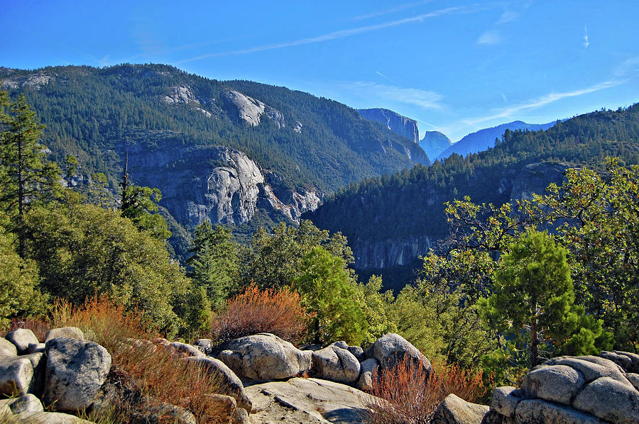 Yosemite National Park Photograph by Ben Prepelka
