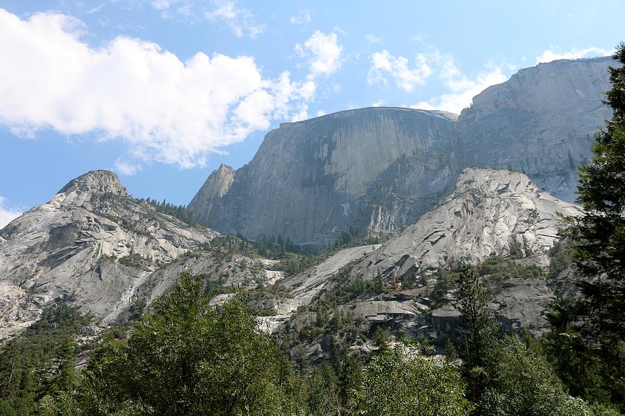 Yosemite National Park  Photograph by Christy Pooschke