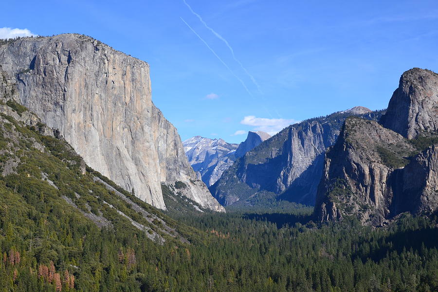 Yosemite National Park Photograph by Colleen Phaedra