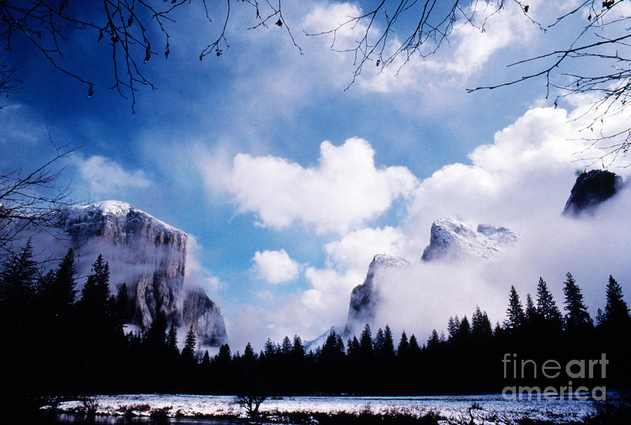 Yosemite National Park Photograph - Yosemite National Park by Marion Patterson