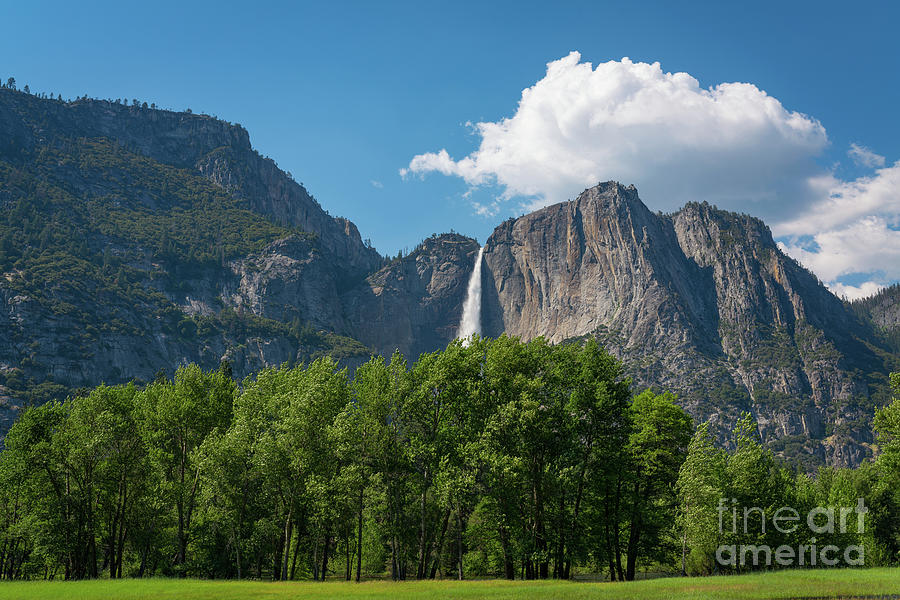 Yosemite National Park  Photograph by Michael Ver Sprill