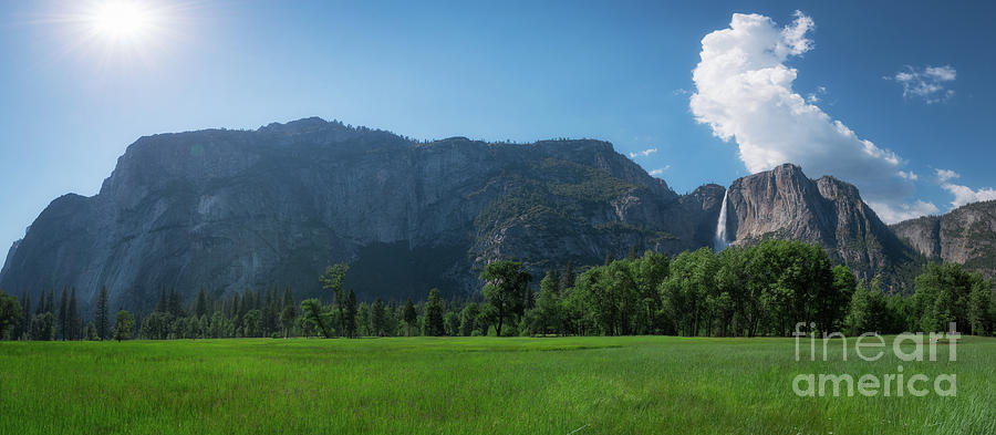 Tree Photograph - Yosemite National Park Panorama by Michael Ver Sprill