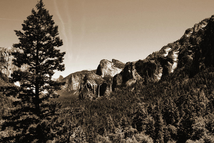 Yosemite National Park Sepia Photograph by Judy Vincent