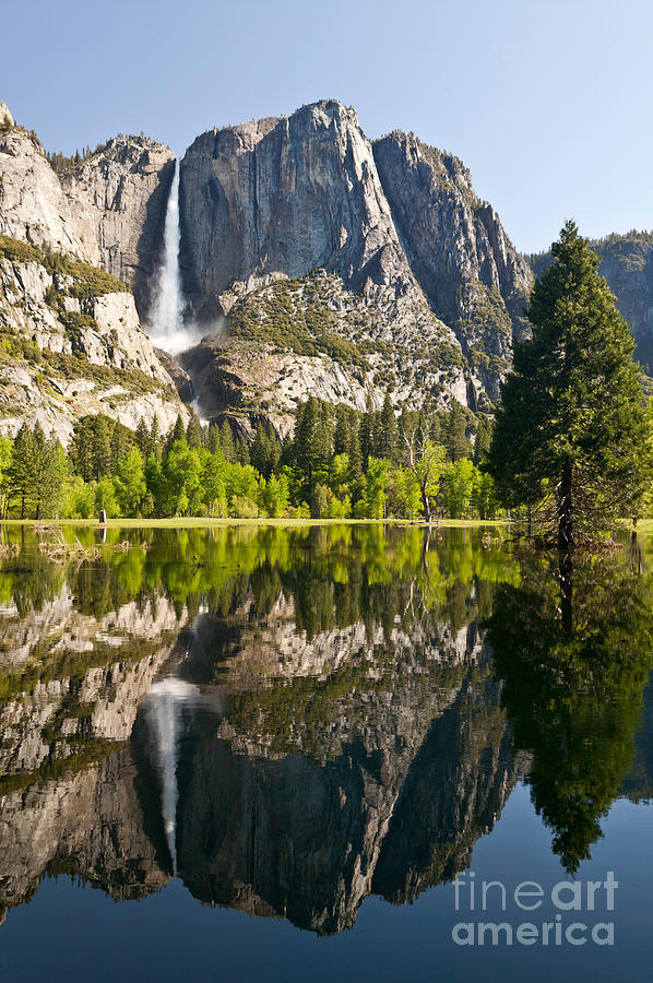 Yosemite National Park, Springtime Photograph by Inga Spence