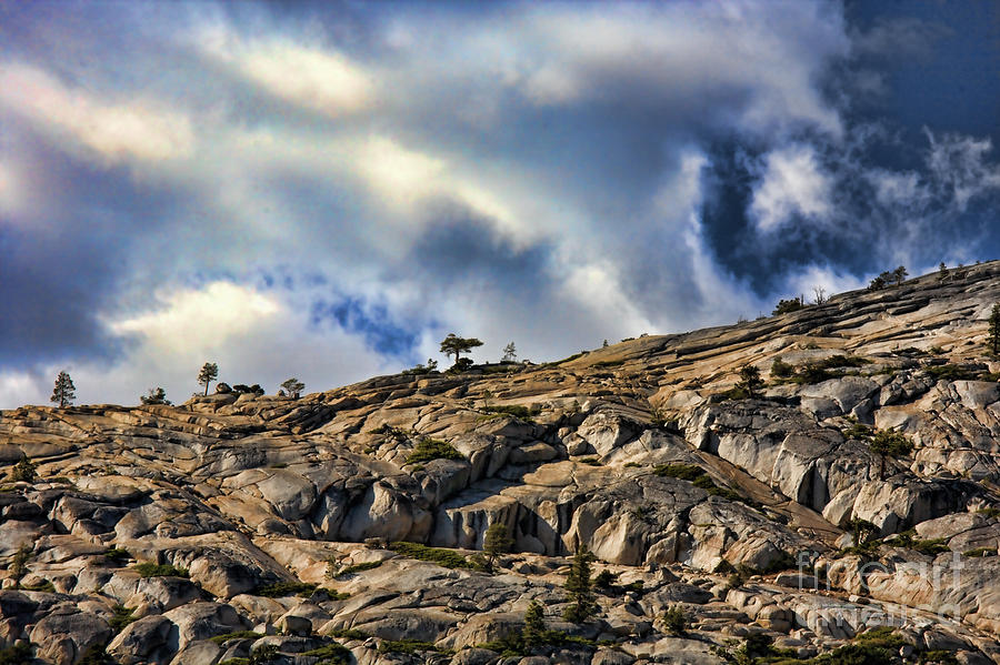 Yosemite National Park Terrain Color California  Photograph by Chuck Kuhn