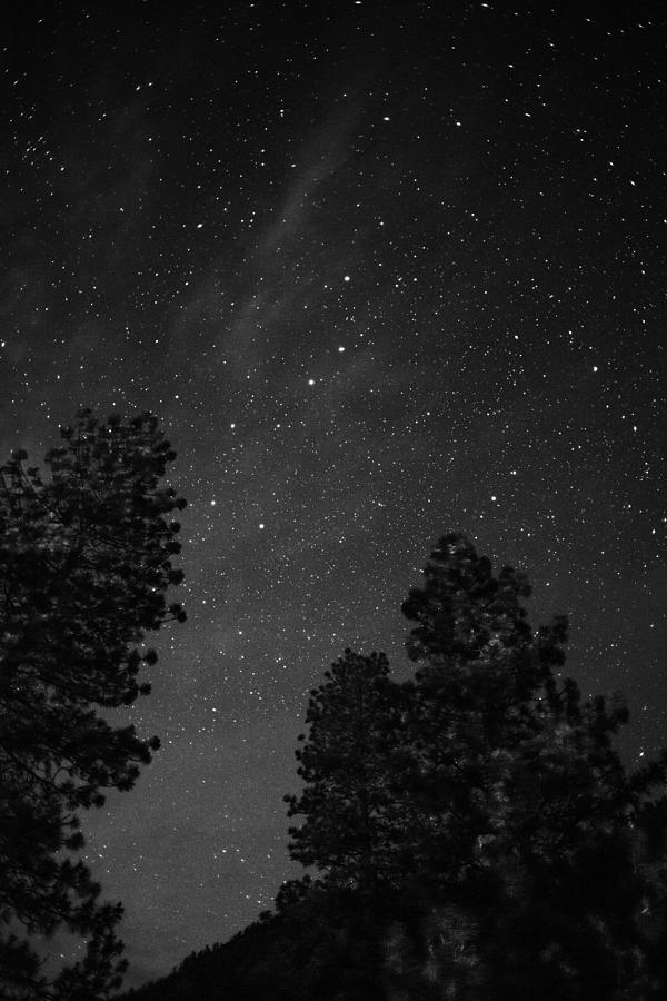 Yosemite Night Sky 1175 Photograph