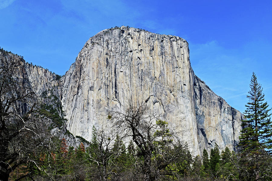 Yosemite No. 5-1 Photograph by Sandy Taylor