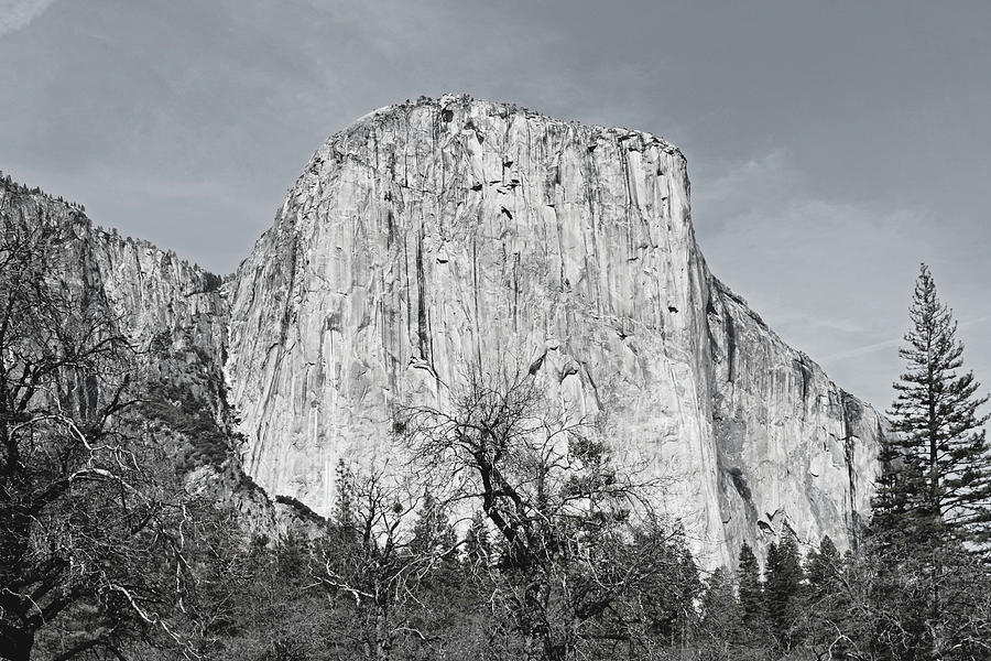 Yosemite National Park Photograph - Yosemite No. 5-2 by Sandy Taylor