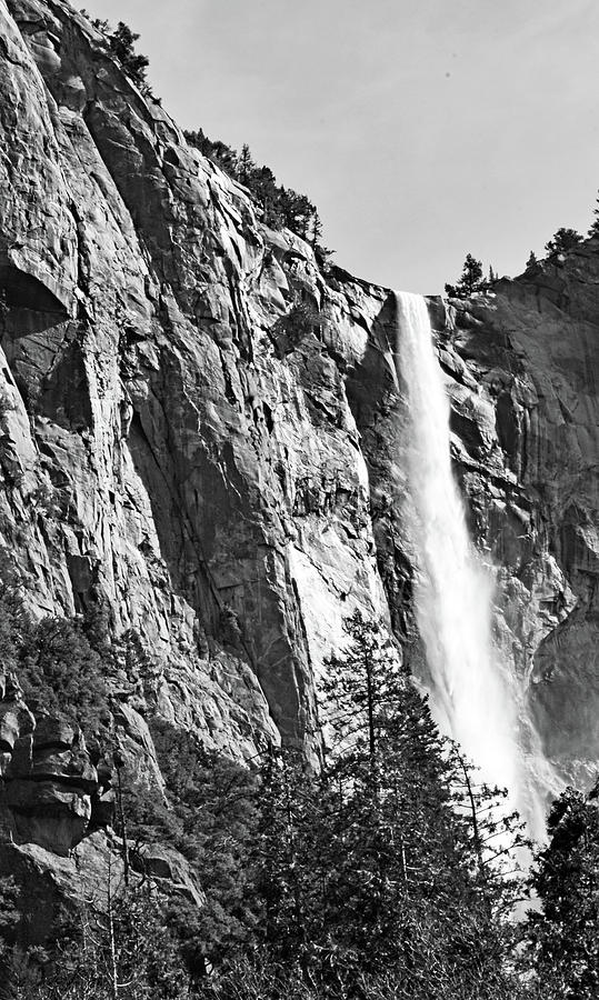 Yosemite No. 611-2 Photograph by Sandy Taylor