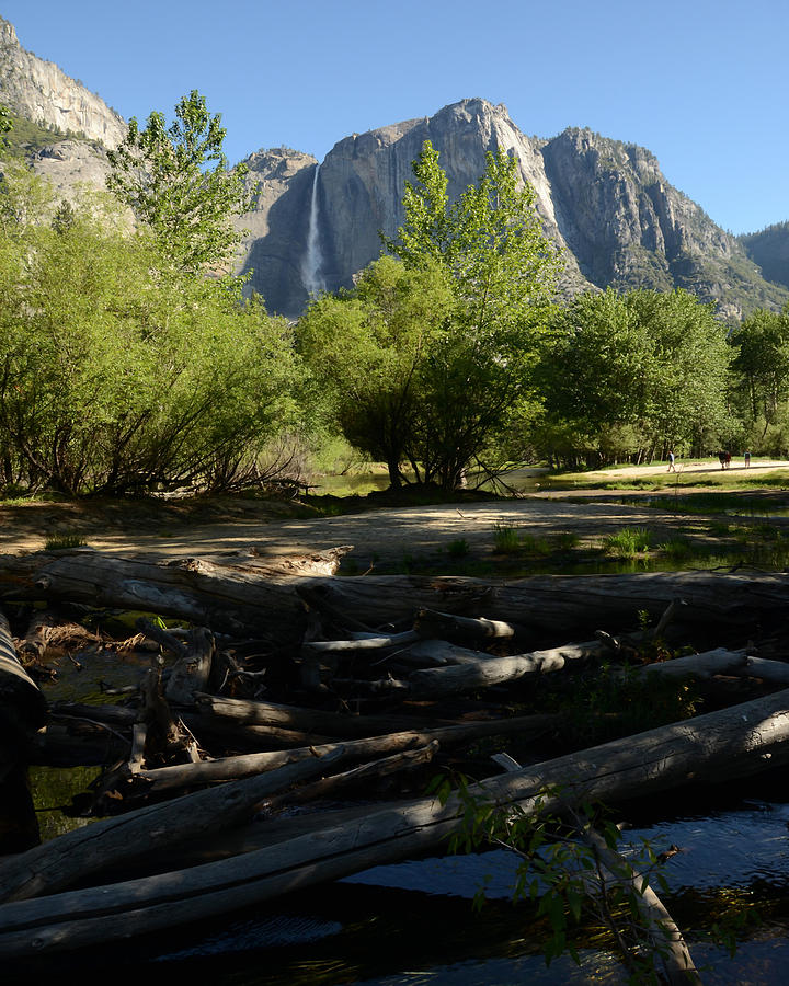 Yosemite Photograph by Pamela Peters