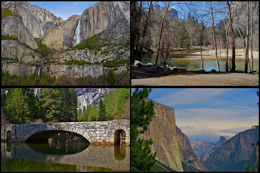Yosemite Panel 2x2  Photograph by SC Heffner