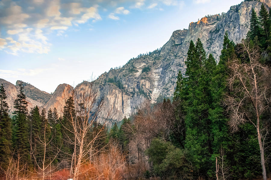 Yosemite National Park Photograph - Yosemite Park Landscape - California by Gregory Ballos