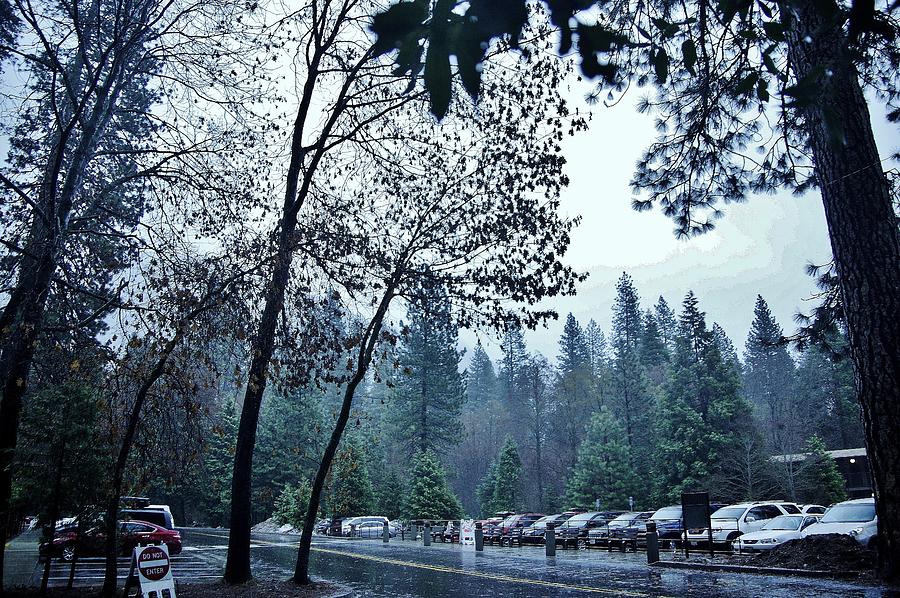 Yosemite Park Rainy Day C Photograph by Phyllis Spoor