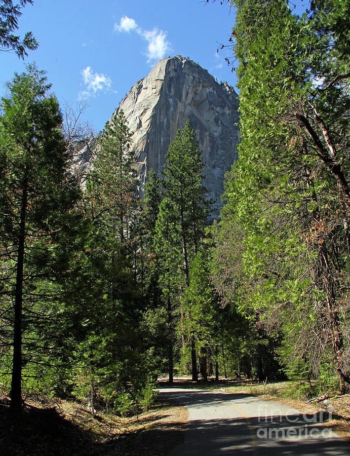 Yosemite Path 6844 Photograph by Jack Schultz