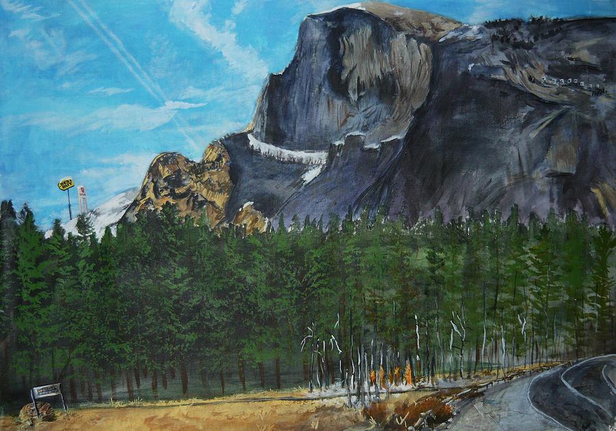 Yosemite National Park Painting - Yosemite Political Statement by Travis Day