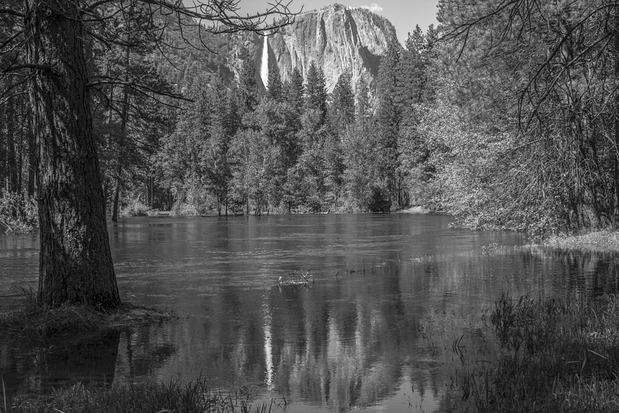Yosemite Reflection Black and White  Photograph by John McGraw