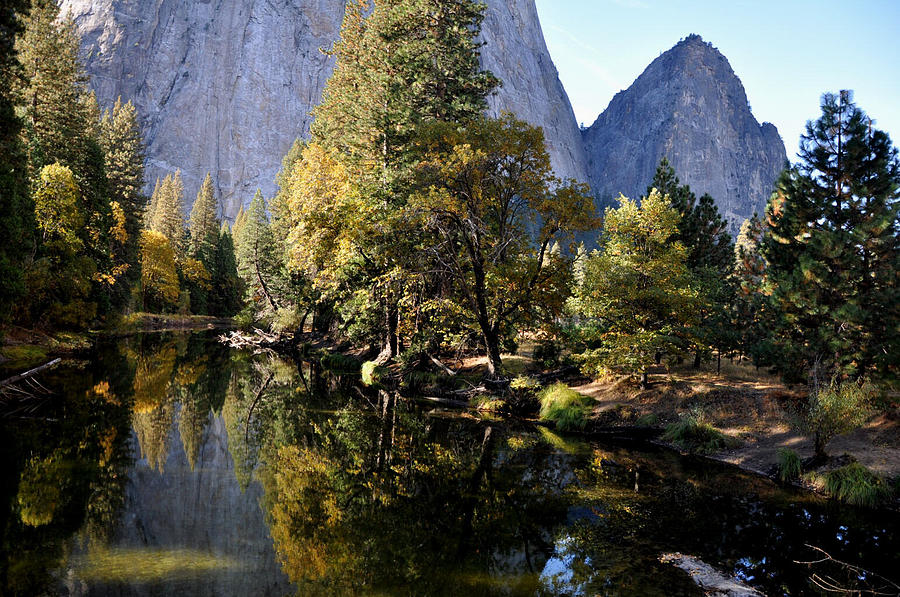 Yosemite Reflections 3 Photograph by Vijay Sharon Govender