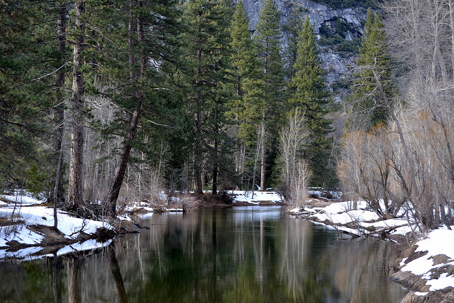 Yosemite Reflections Photograph by Christine Owens Yosemite Reflections Photograph by Christine Owens