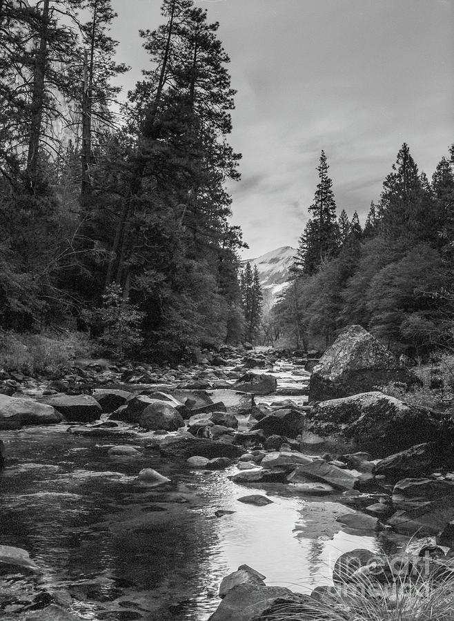 Yosemite River Photograph by Paul Quinn