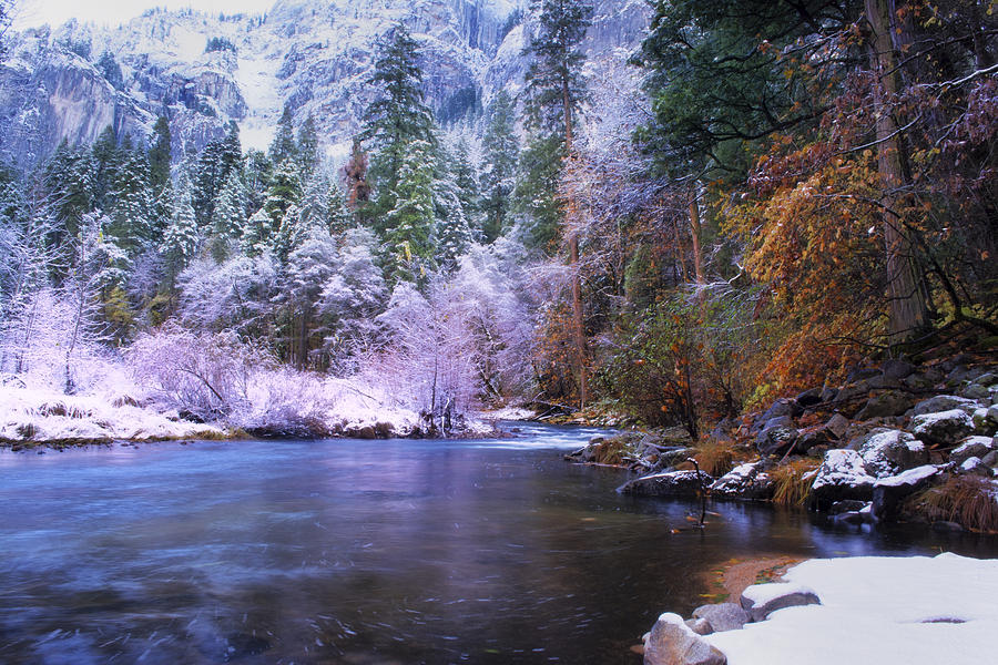 Yosemite Snow and Fall Colors Photograph by Doug Holck