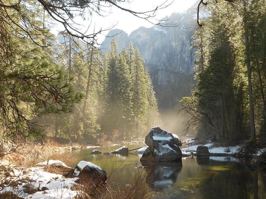 Yosemite Spring Photograph by FD Graham