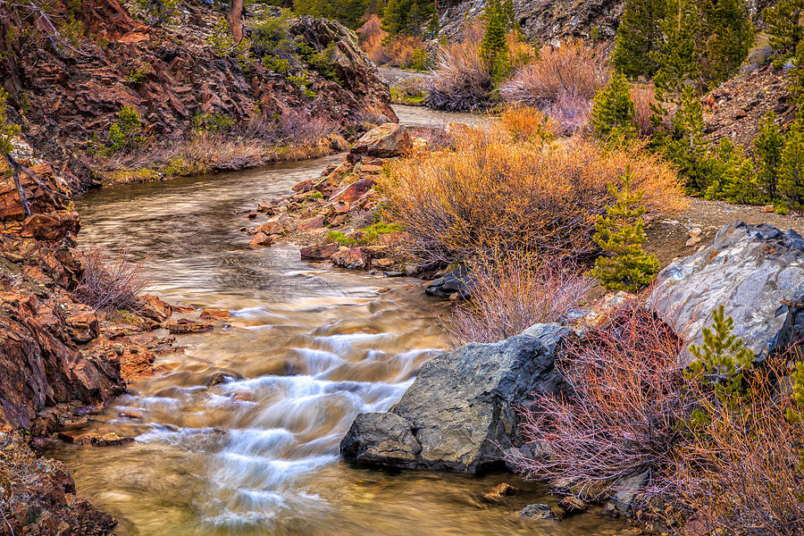 Yosemite Stream #1 Photograph by Chuck Pierce - Fine Art America