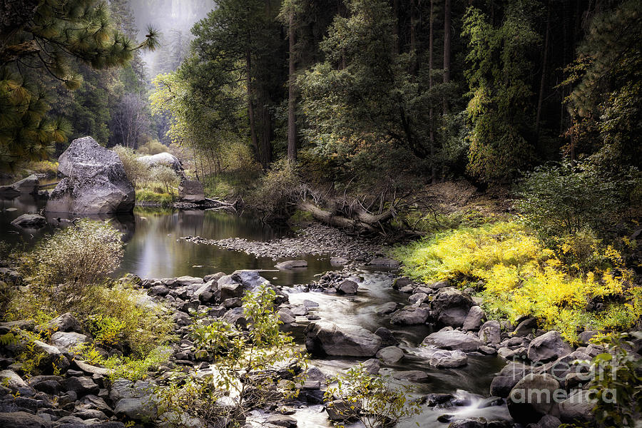 Yosemite Stream 2 Photograph by Timothy Hacker