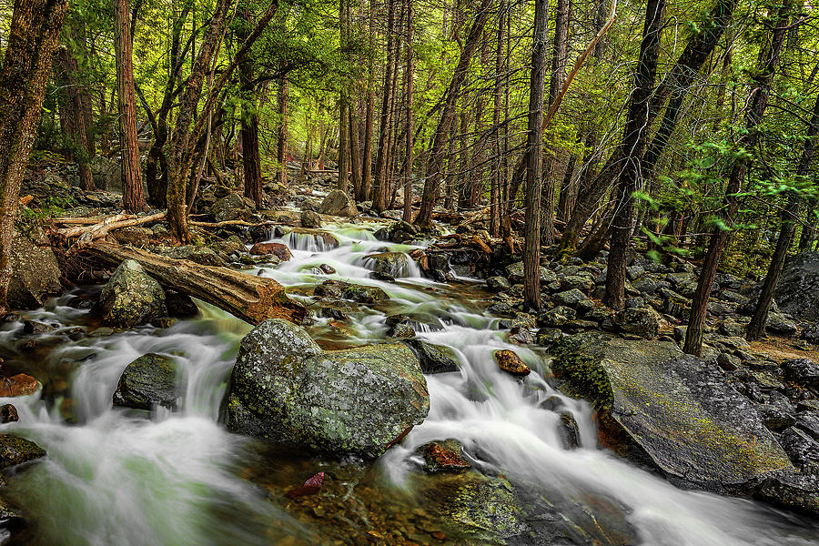 Yosemite Stream Photograph by Andrew Soundarajan