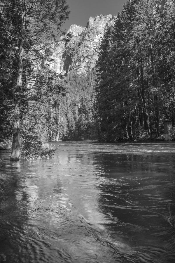 Yosemite stream Black and White  Photograph by John McGraw