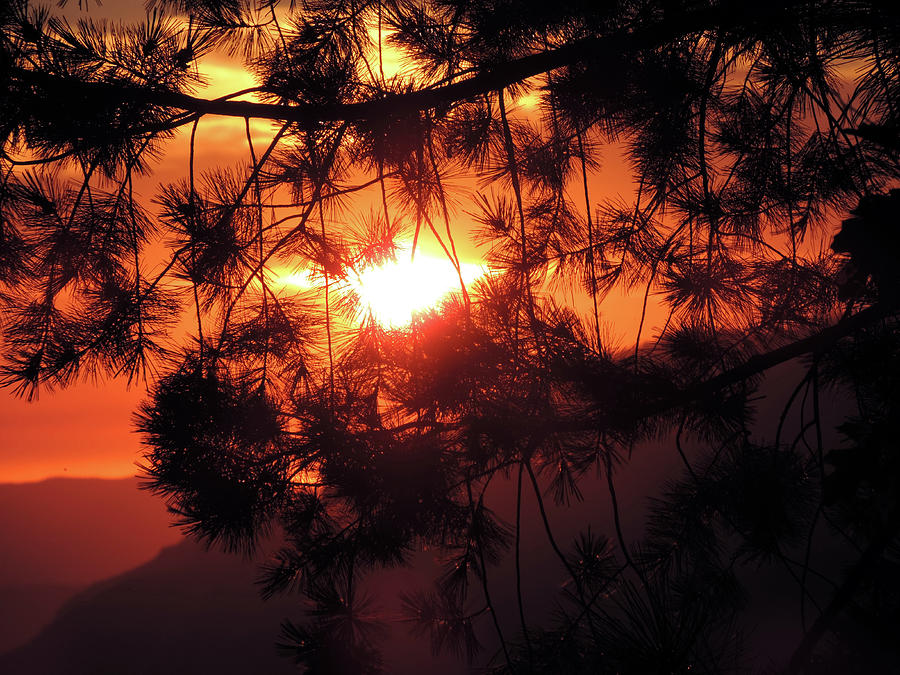 Yosemite Sunset 2 Photograph by Eric Forster