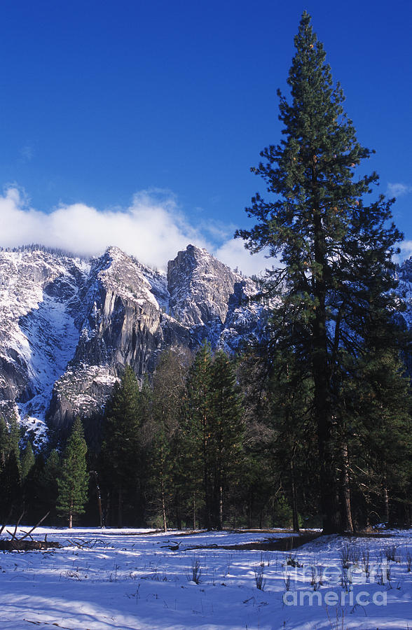Yosemite Three Brothers in Winter Photograph by Jim And Emily Bush