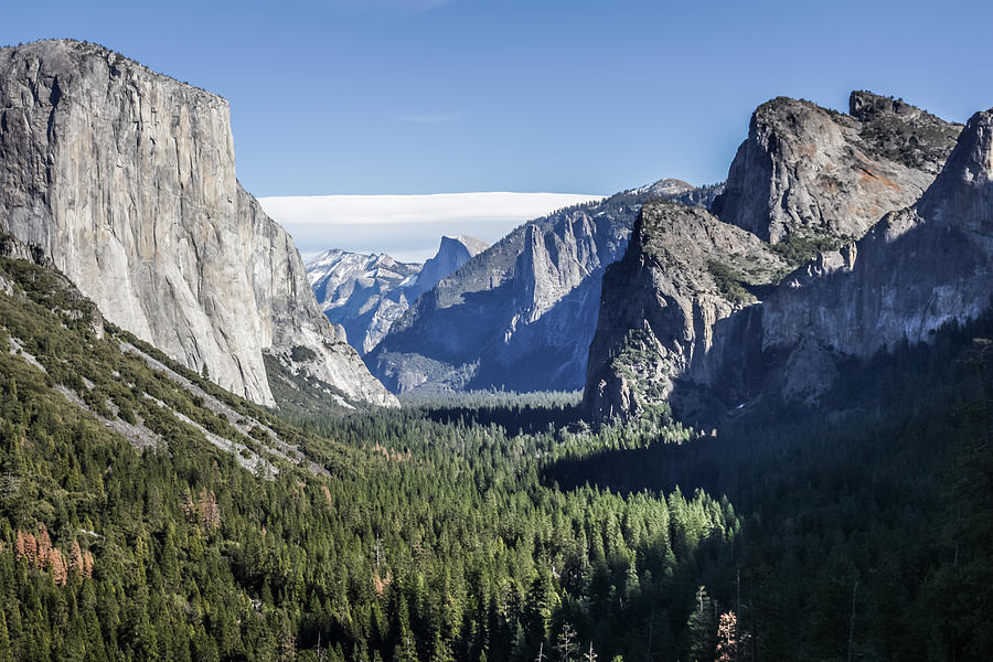 Yosemite Tunnel View Photograph by Adam Rainoff