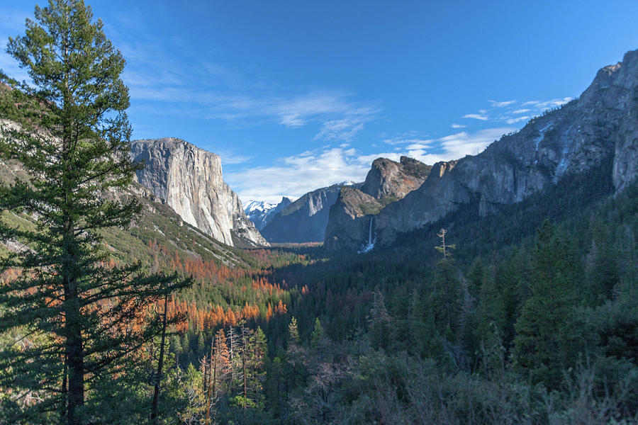 Yosemite Tunnel View Photograph by Mark Hjelmstad - Fine Art America