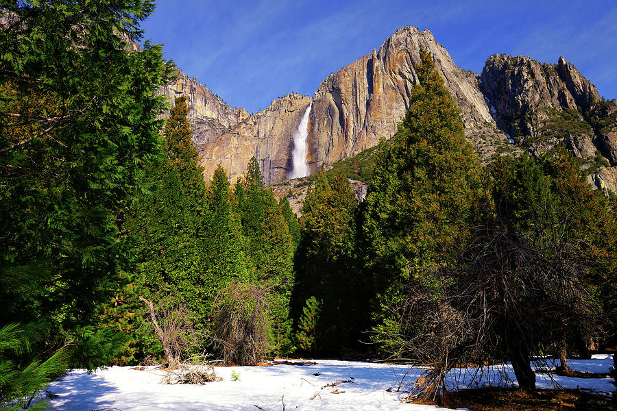 Yosemite Upper Fall Photograph by Greg Norrell