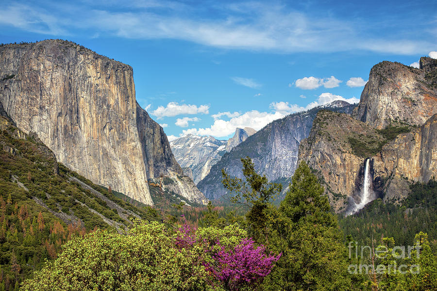 Yosemite Valley 2 Photograph by Mimi Ditchie