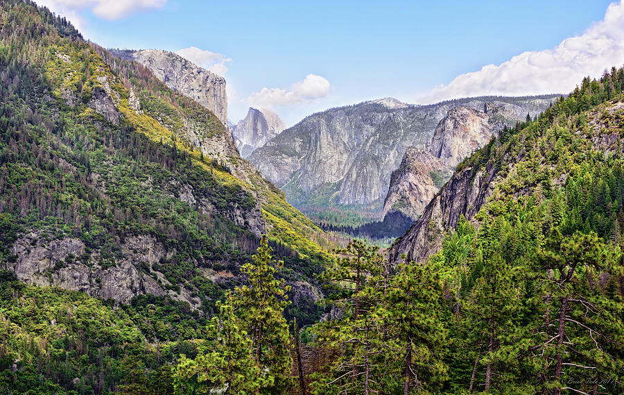 Yosemite Valley, A Different View Photograph