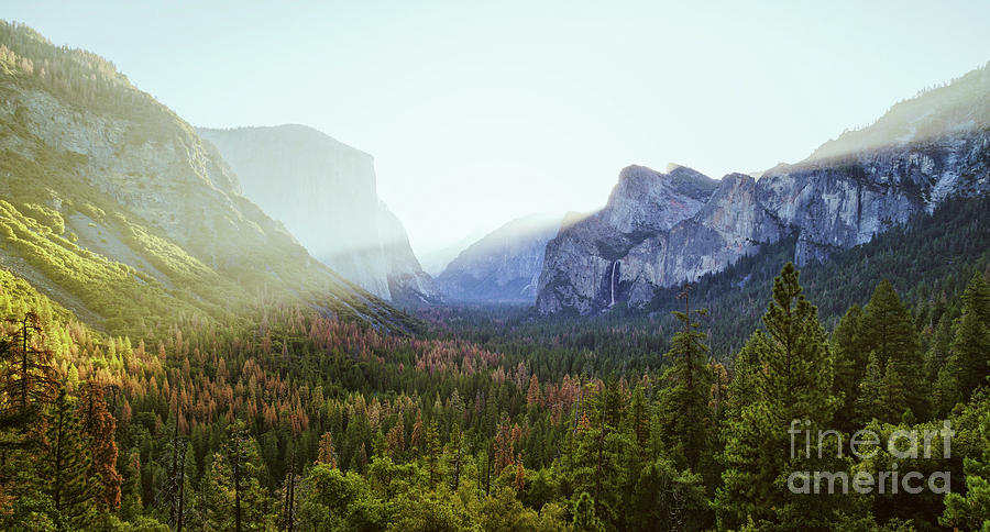 Yosemite Valley Awakening Photograph by JR Photography