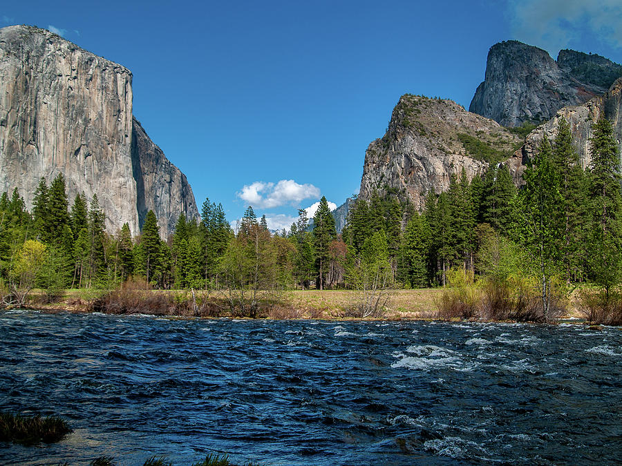 Yosemite Valley Photograph by Bill Gallagher