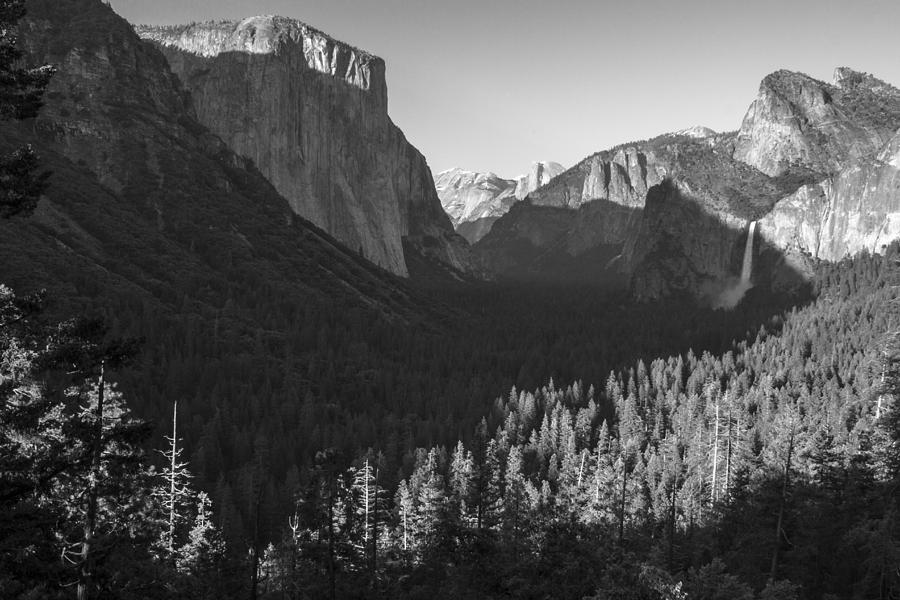Yosemite Valley Black and White  Photograph by John McGraw