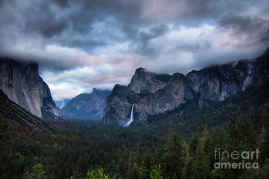 Yosemite Valley  Photograph by Brandon Bonafede