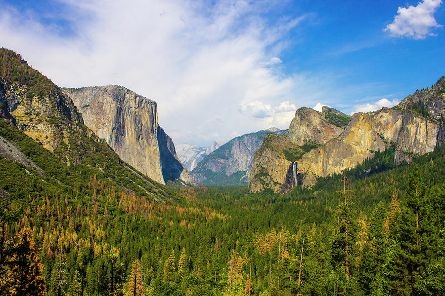 Yosemite Valley, California Photograph By Joaquin Ossorio-castillo 