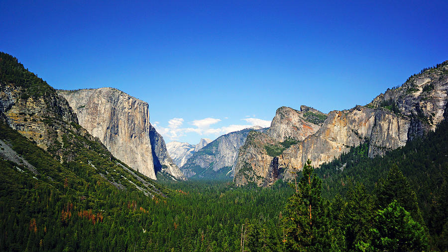 Yosemite Valley California Photograph by Lawrence S Richardson Jr