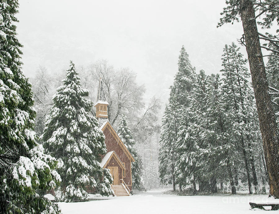 Yosemite Valley Chapel Winter Photograph by Wayne Moran
