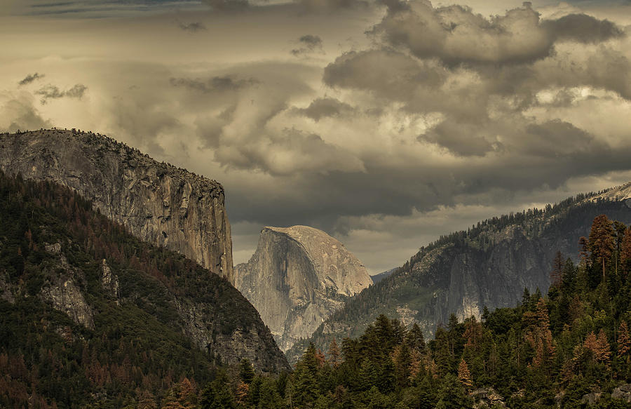 Yosemite Valley Photograph by Chris Burke
