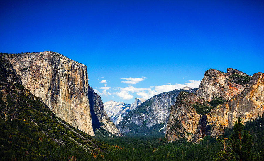 Yosemite Valley Closeup Photograph by Lawrence S Richardson Jr