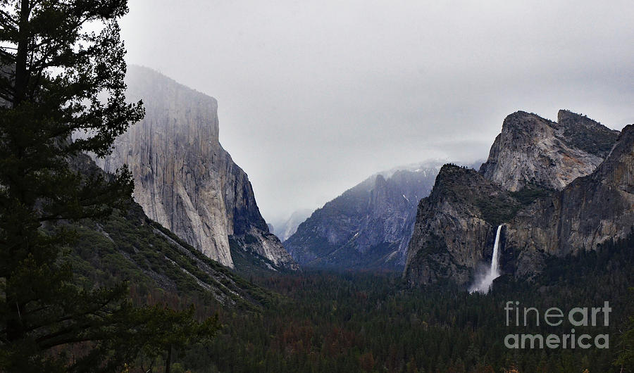 Yosemite Valley Photograph by Debby Pueschel